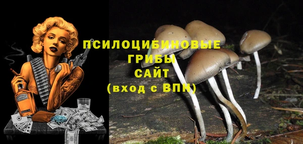 не бодяженный Зерноград